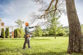 Best Stump Grinding and Removal  in Muncie, IN